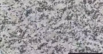 三亚 芙蓉白（芝麻白大花）火烧面