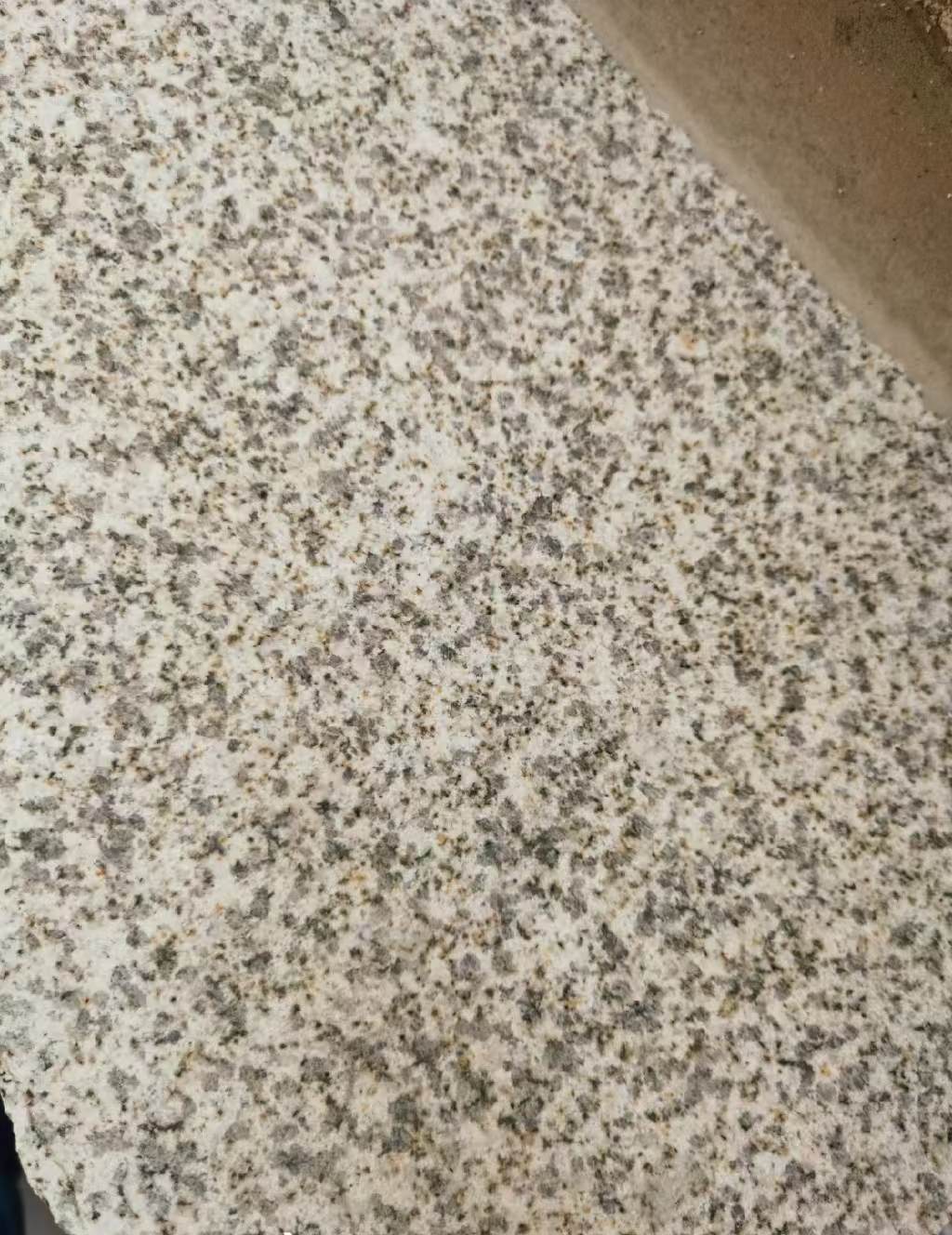 三亚 黄金麻中黄光面