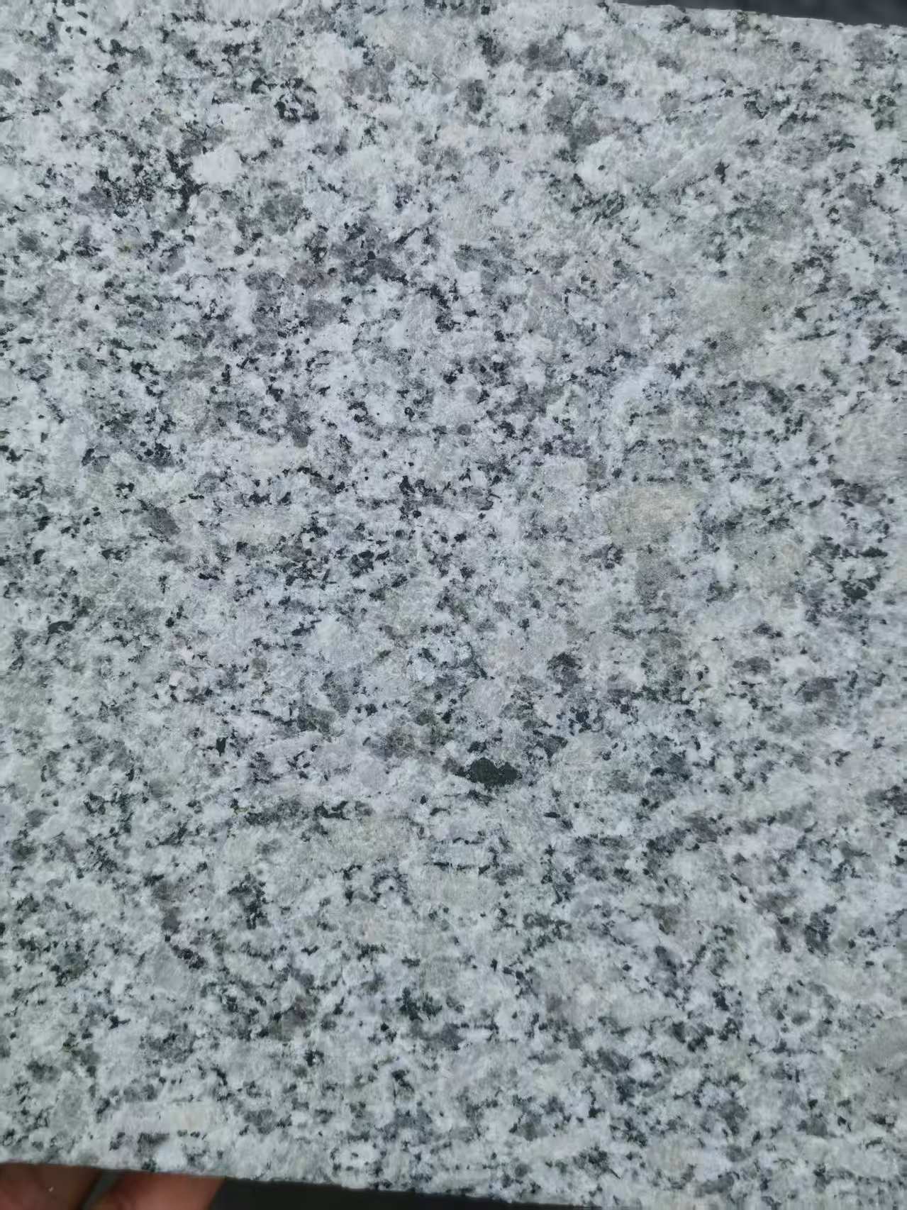 三亚 芙蓉白火烧面