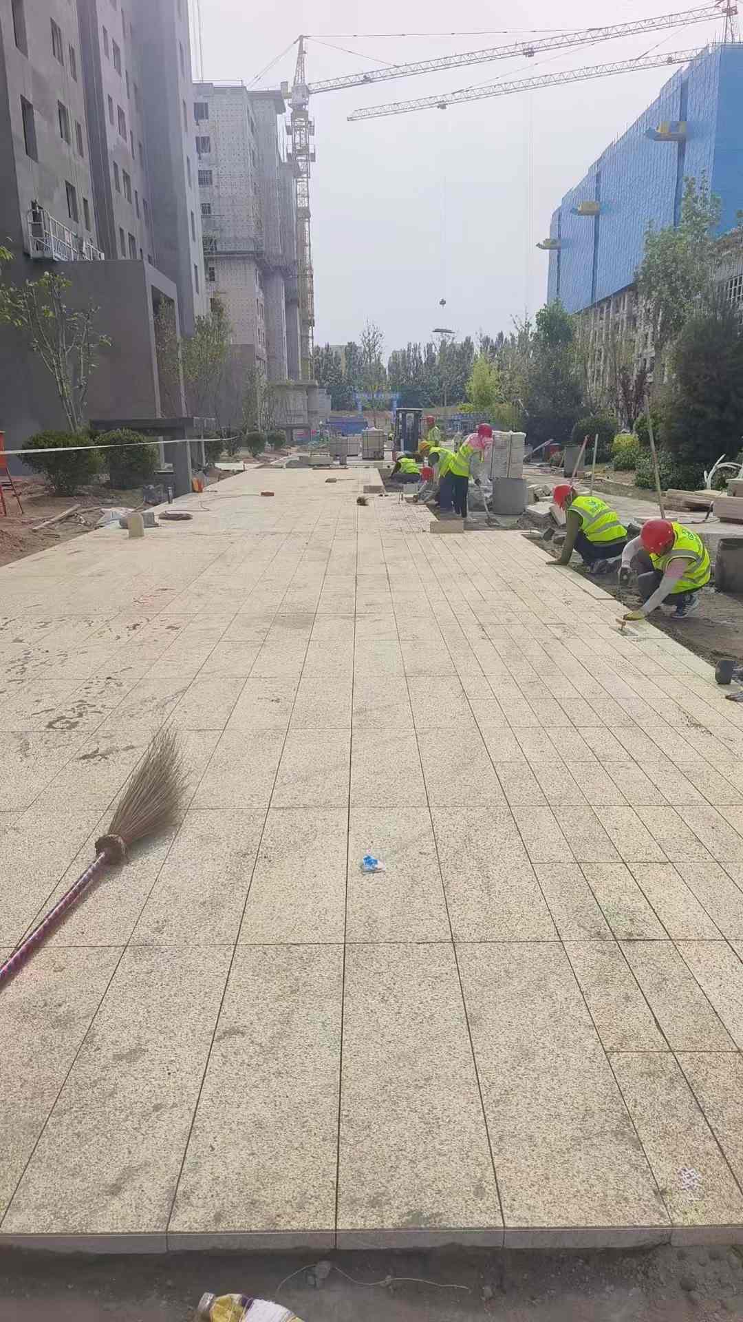 三亚黄金麻荔枝面地铺案例