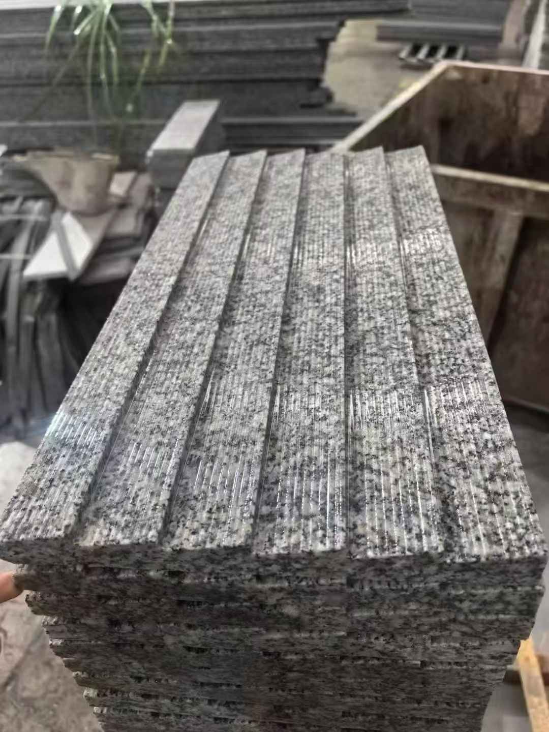 三亚 狼牙石